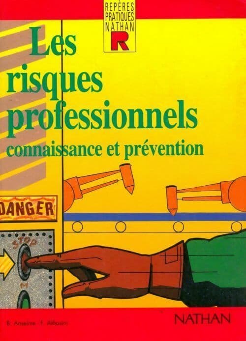 Les risques professionnels. Connaissance et prévention - Bruno Anselme