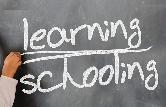 Comment Structurer un Training Pro Efficace et Engagé
