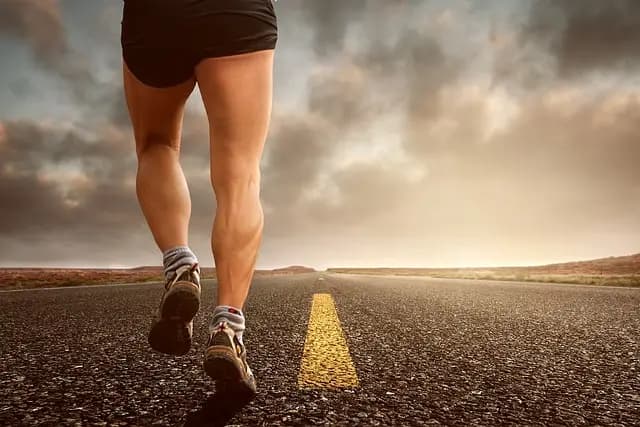 10 Conseils pour Renforcer l'Efficacité de Votre Training Pro